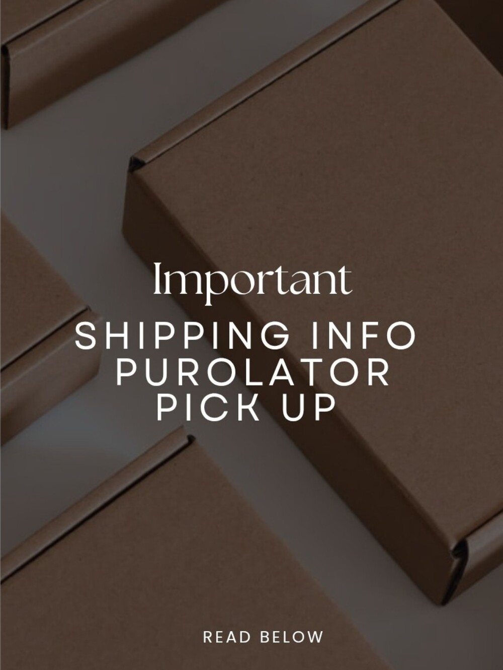 Purolator - IMPORTANT INFO FOR BUYERS
